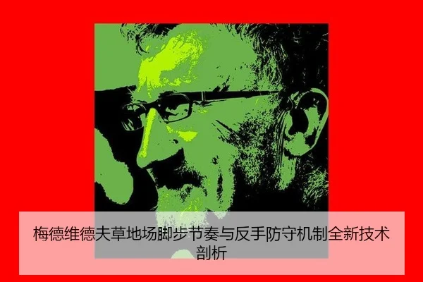 mei-de-wei-de-fu-cao-di-chang-jiao-bu-jie-zou-yu-fan-shou-fang-shou-ji-zhi-quan-xin-ji-shu-pou-xi-2-223.jpg