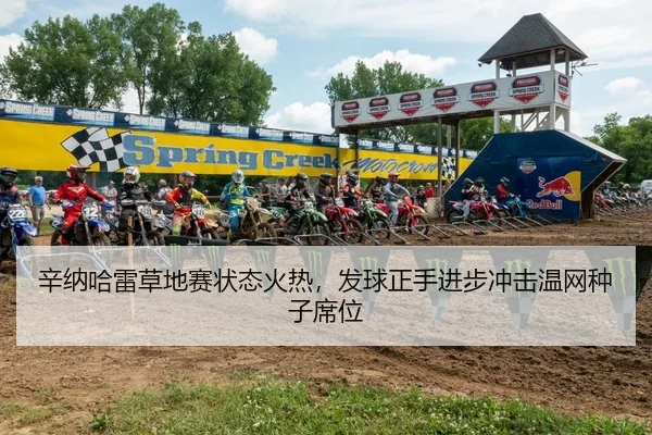 辛纳哈雷草地赛状态火热，发球正手进步冲击温网种子席位